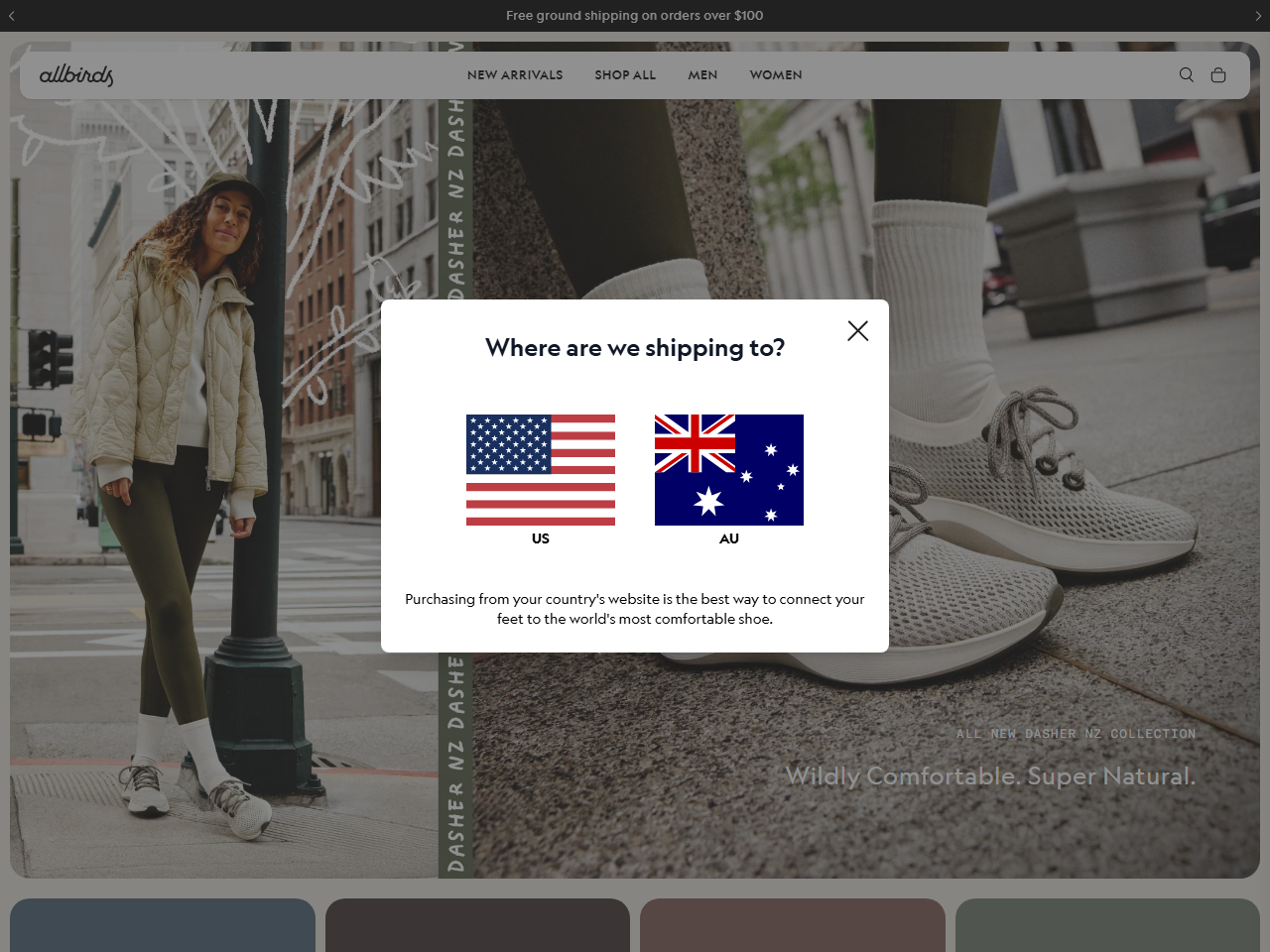 Screenshot of the Allbirds Shopify store