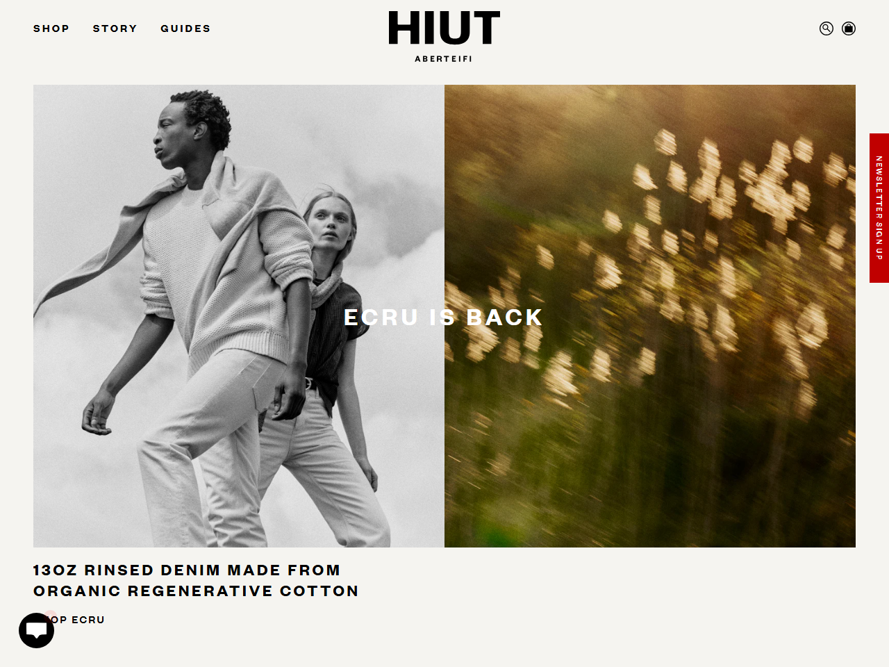 Screenshot of the Hiut Denim Shopify store